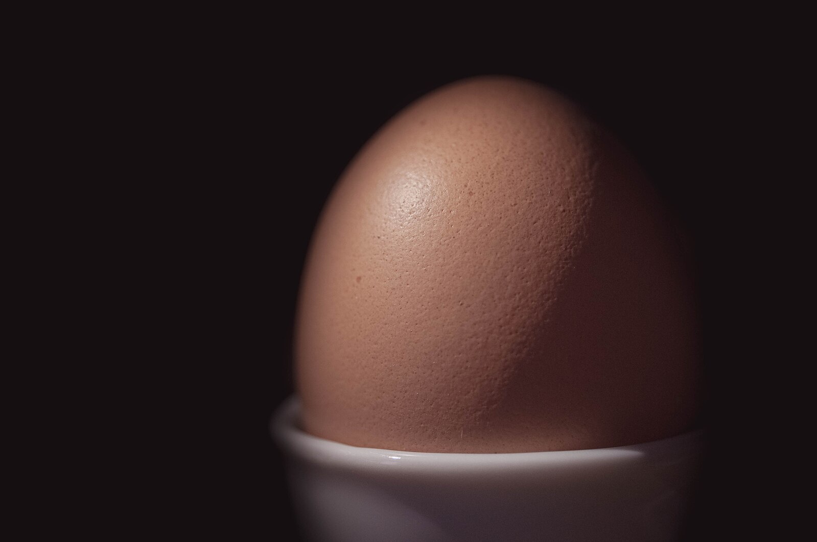 Without Egg