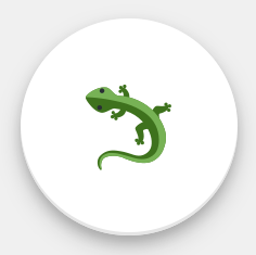 Lizard