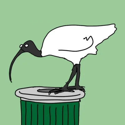 Bin Chicken